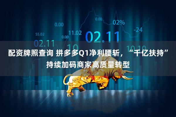 配资牌照查询 拼多多Q1净利腰斩，“千亿扶持”持续加码商家高质量转型