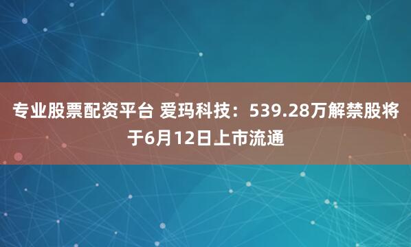 专业股票配资平台 爱玛科技：539.28万解禁股将于6月12日上市流通