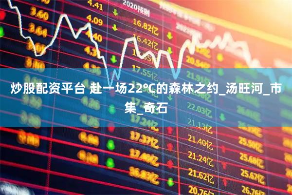 炒股配资平台 赴一场22℃的森林之约_汤旺河_市集_奇石